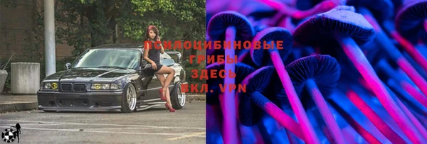 таблы Армянск