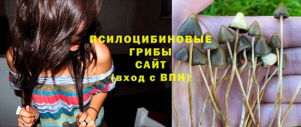 метадон Арсеньев