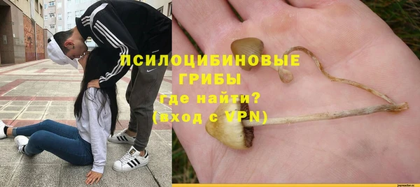 jwh Аркадак