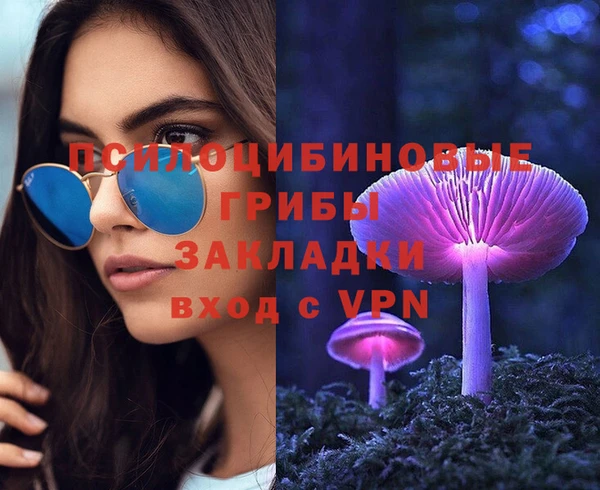 ПСИЛОЦИБИНОВЫЕ ГРИБЫ Балабаново