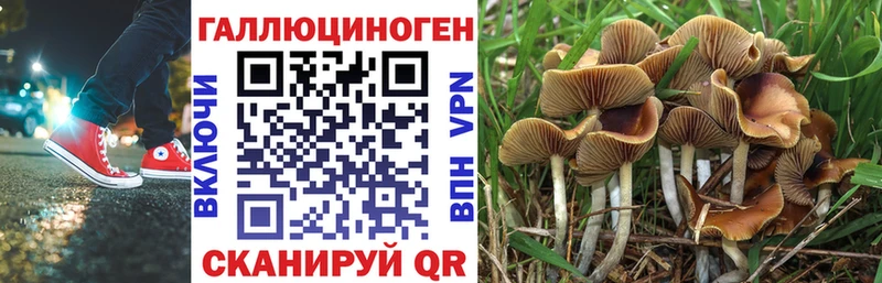Купить где  Мантурово  Псилоцибиновые грибы Magic Shrooms 